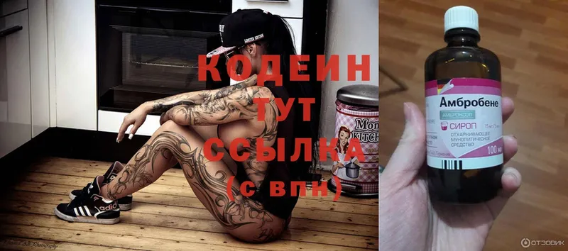 где продают наркотики  Владимир  Кодеиновый сироп Lean Purple Drank 